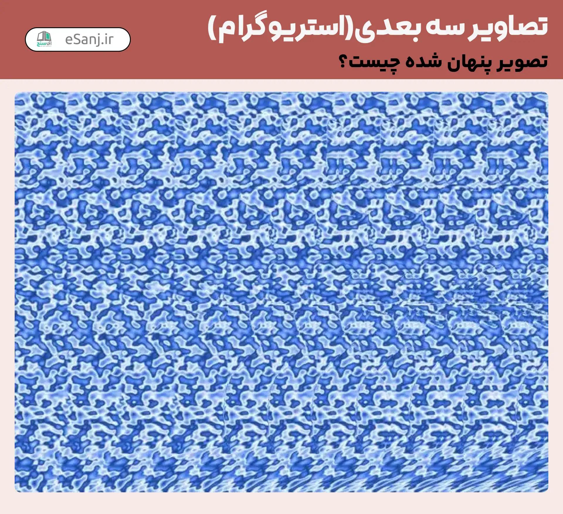 تصاویر سه بعدی ( استریوگرام) شماره 50