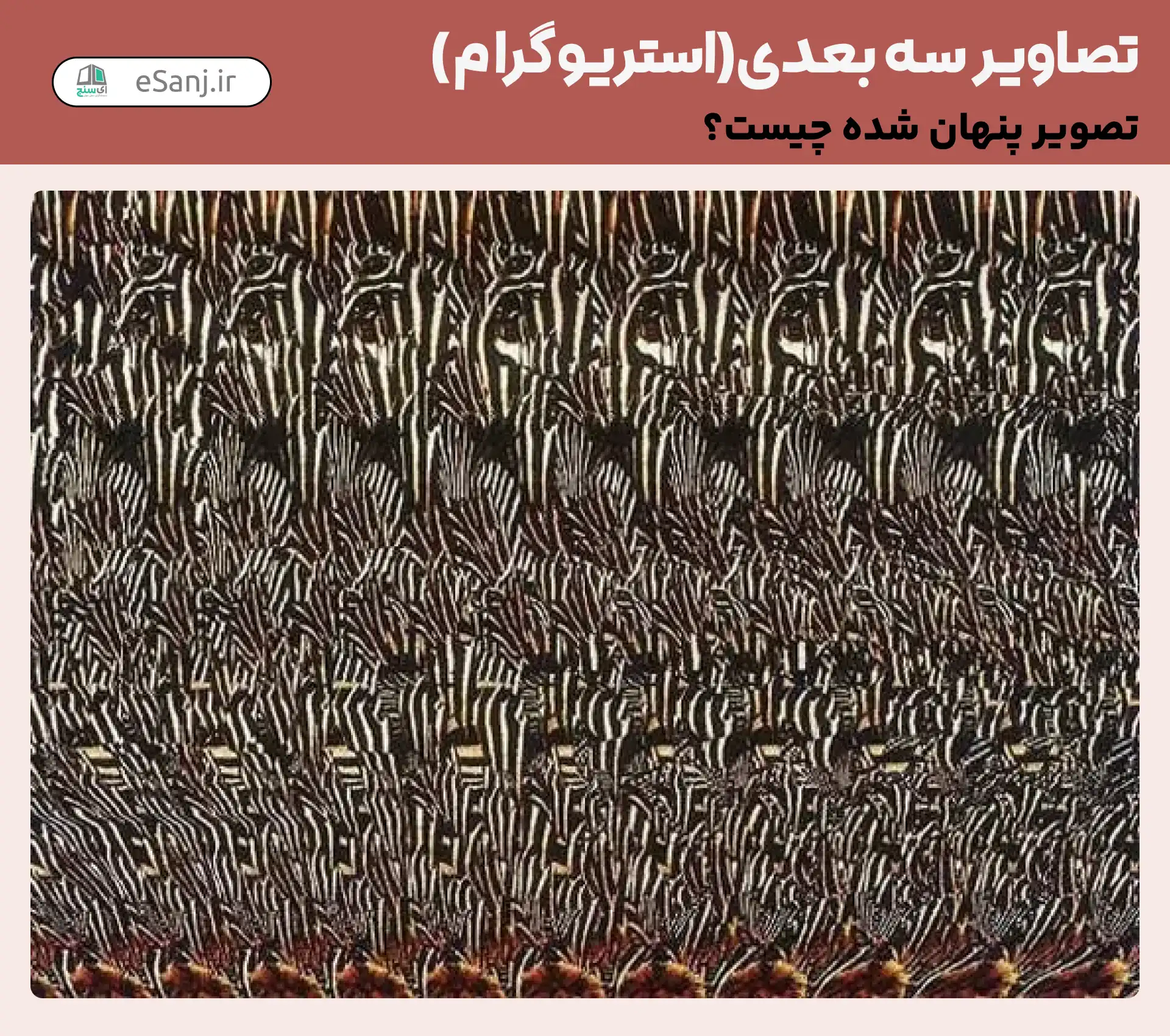 تصاویر سه بعدی ( استریوگرام) شماره 51