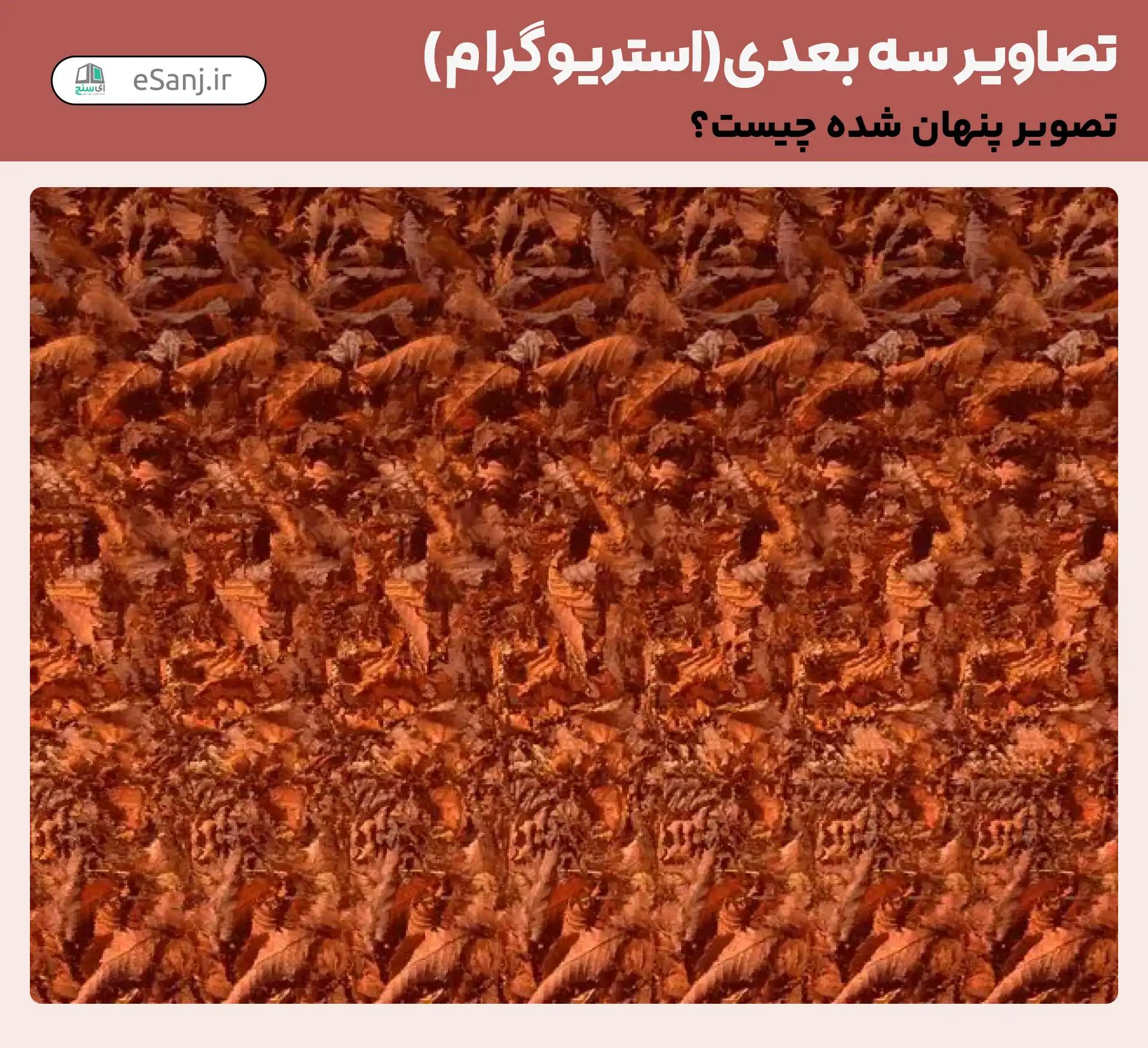 تصاویر سه بعدی ( استریوگرام) شماره 52