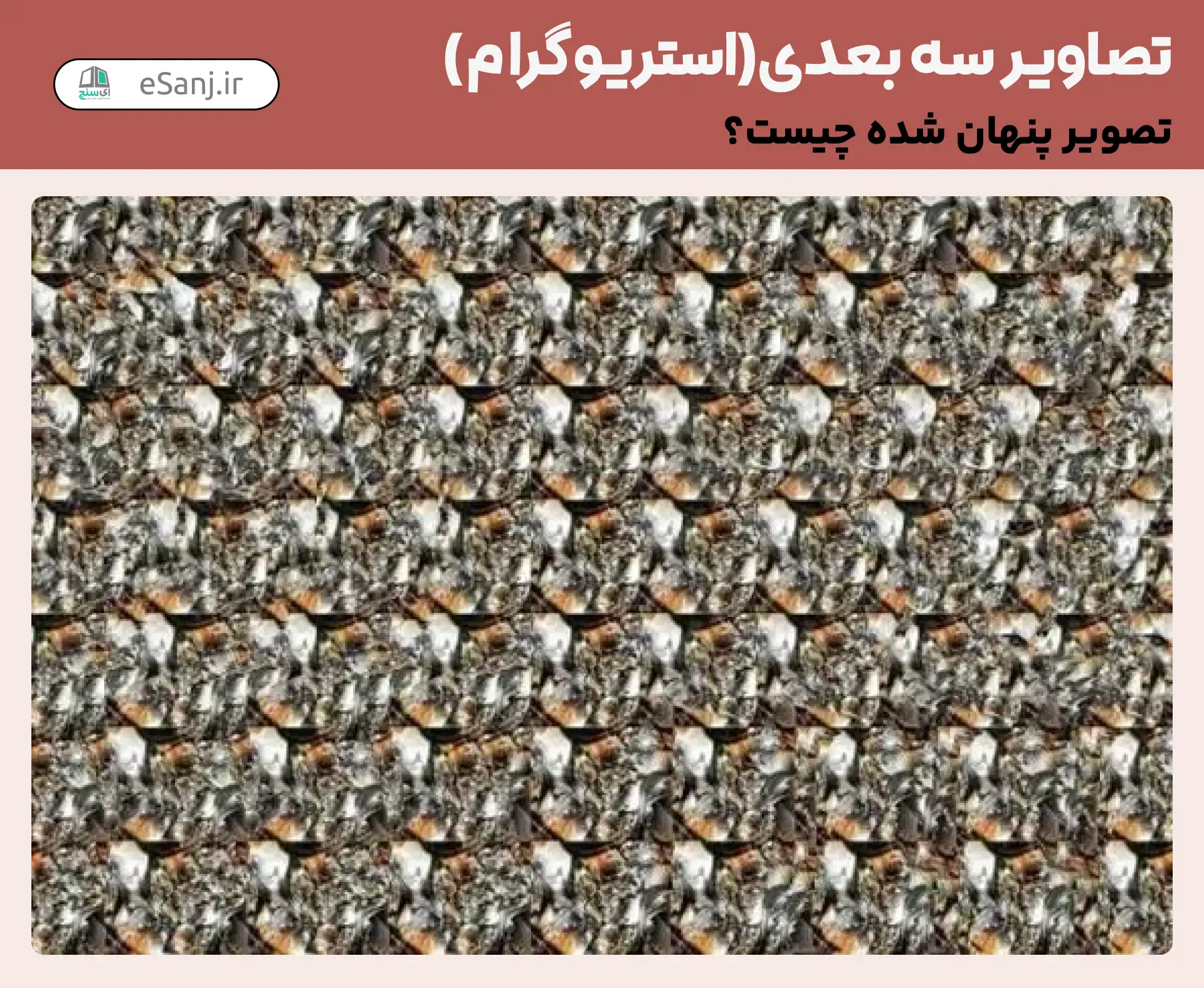 تصاویر سه بعدی ( استریوگرام) شماره 54