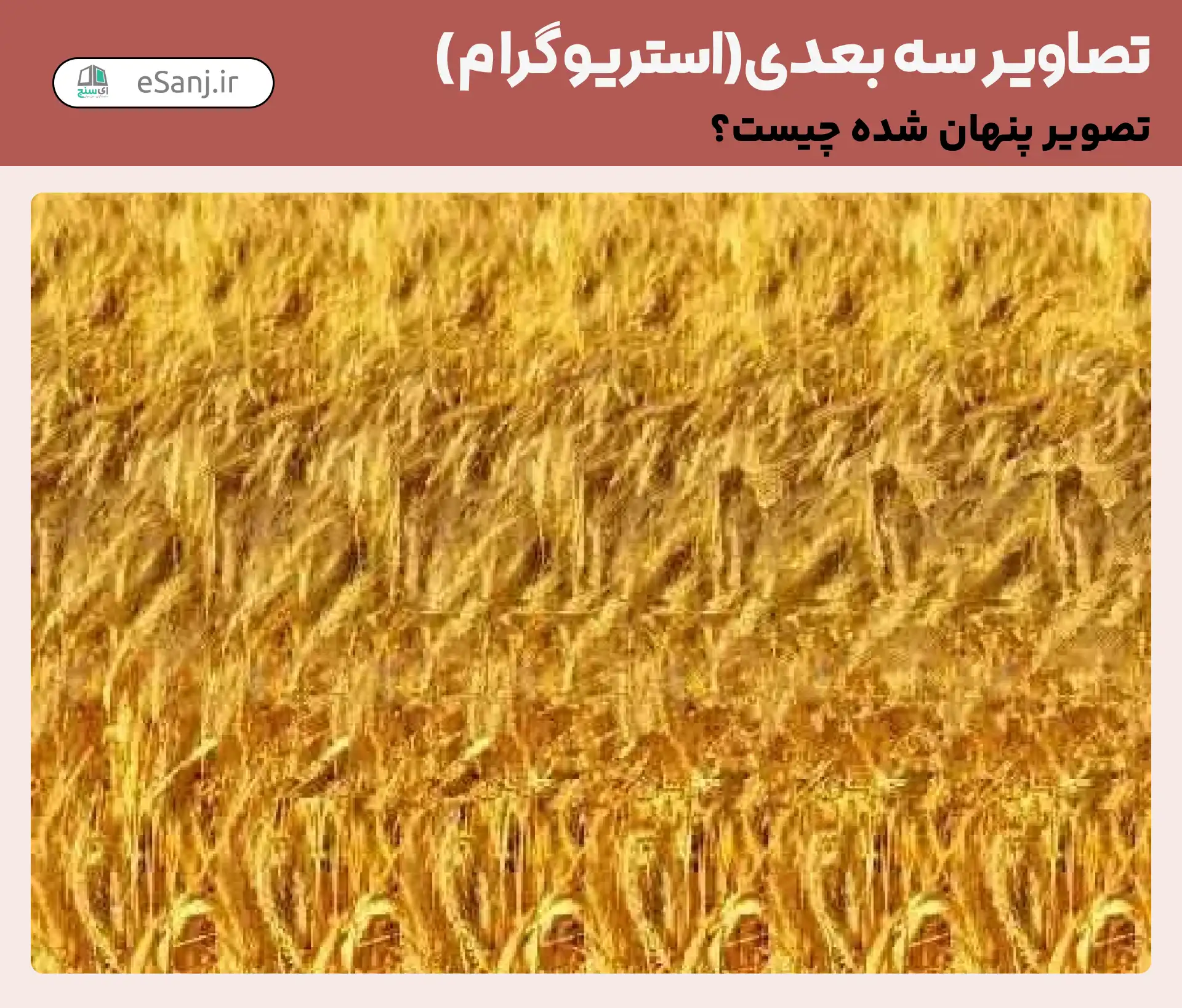 تصاویر سه بعدی ( استریوگرام) شماره 55