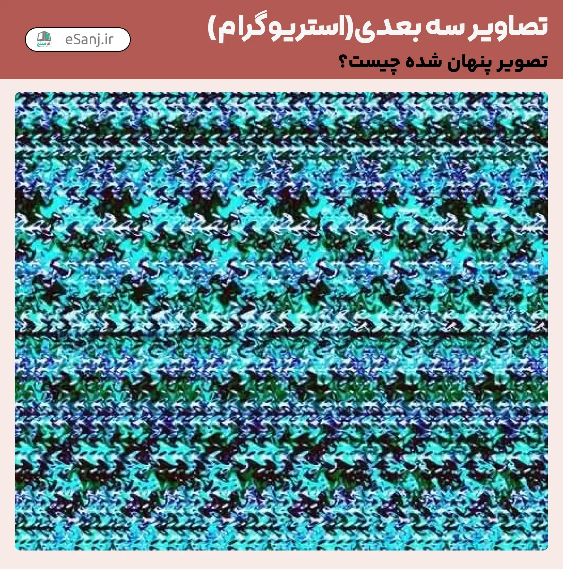 تصاویر سه بعدی ( استریوگرام) شماره 56