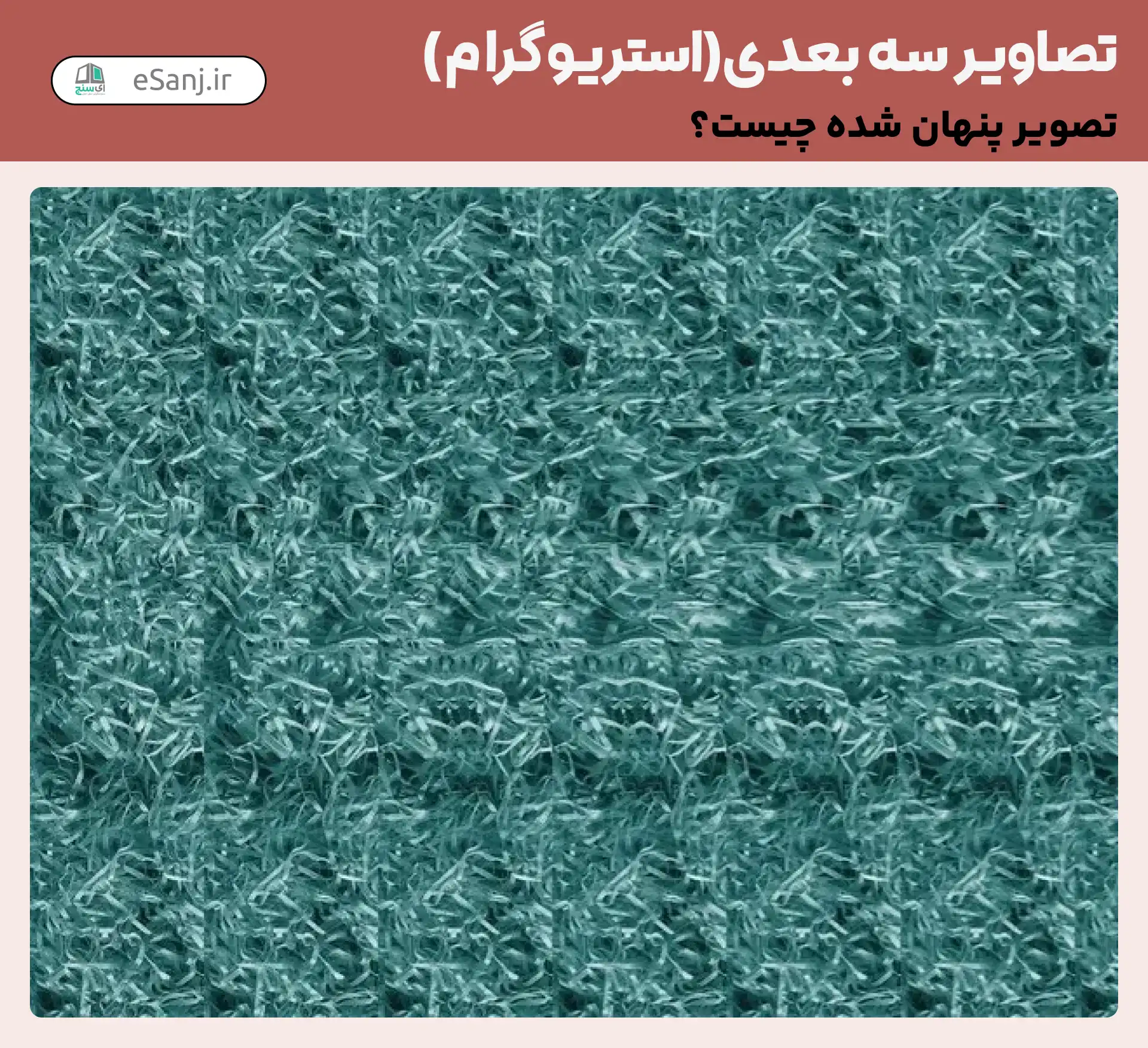 تصاویر سه بعدی ( استریوگرام) شماره 59