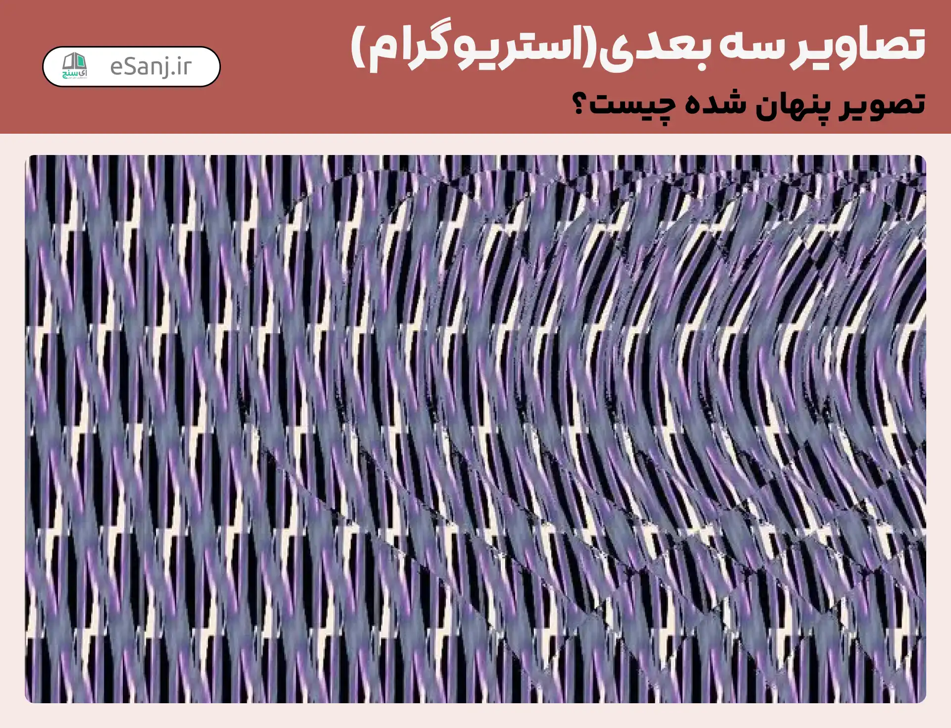 تصاویر سه بعدی ( استریوگرام) شماره 63