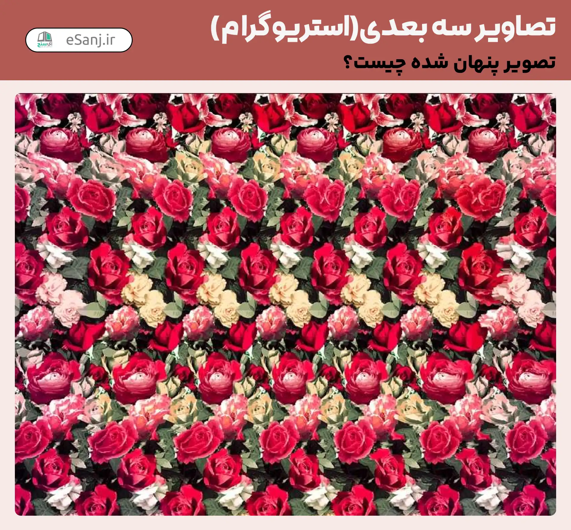 تصاویر سه بعدی (استریوگرام) شماره 9