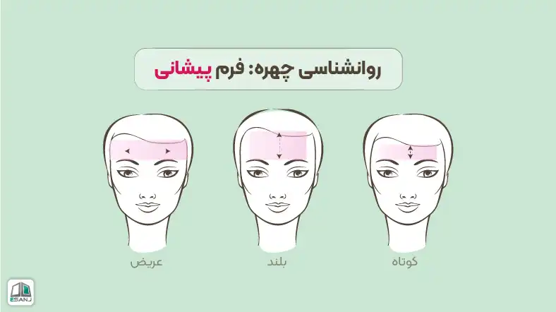 روانشناسی چهره: فرم پیشانی