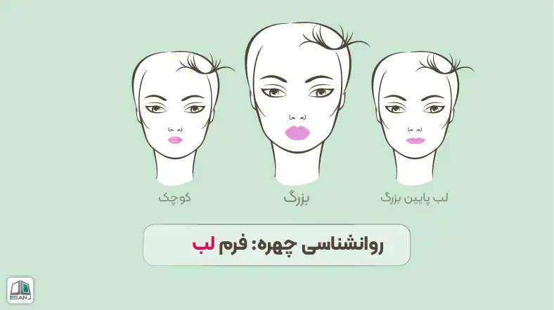 روانشناسی چهره: فرم لب