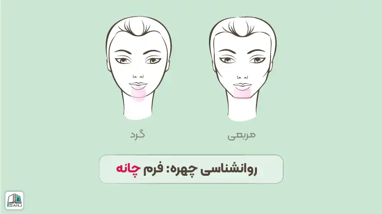 روانشناسی چهره: فرم چانه