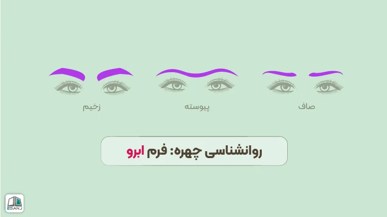 روانشناسی چهره: فرم ابرو