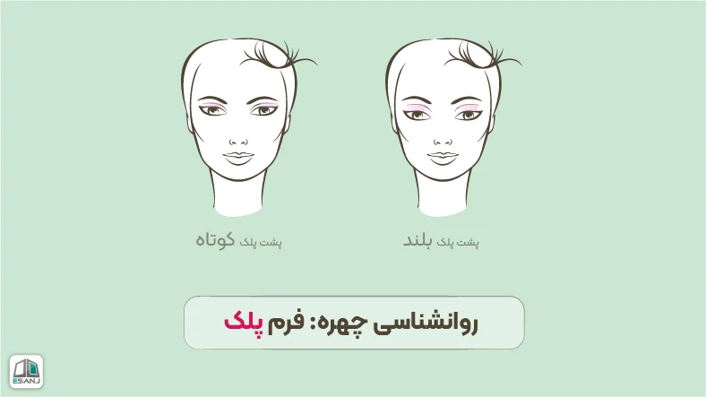 روانشناسی چهره: فرم پلک