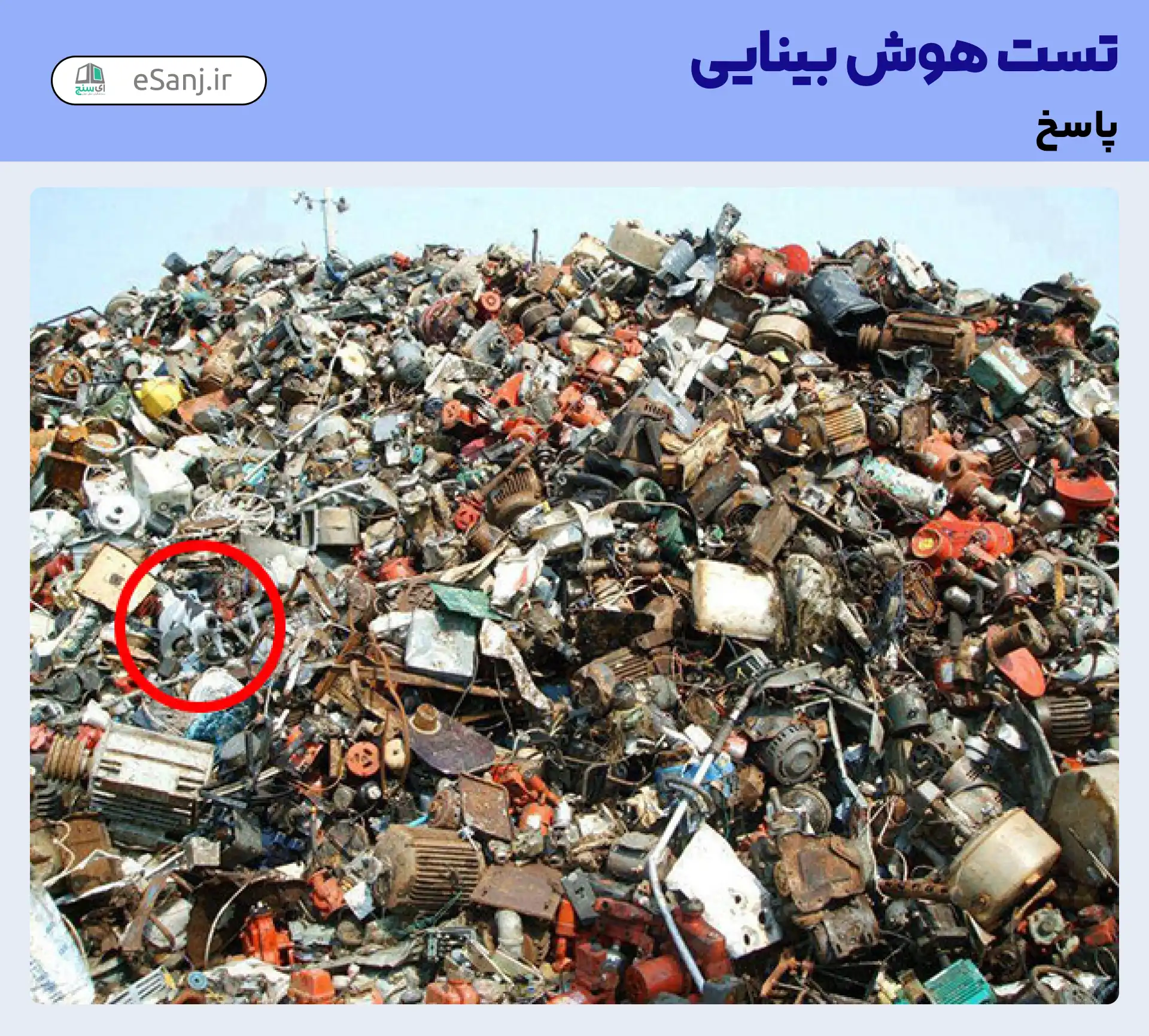 جواب تست هوش بینایی: گربه را میان آشغال ها پیدا کنید.