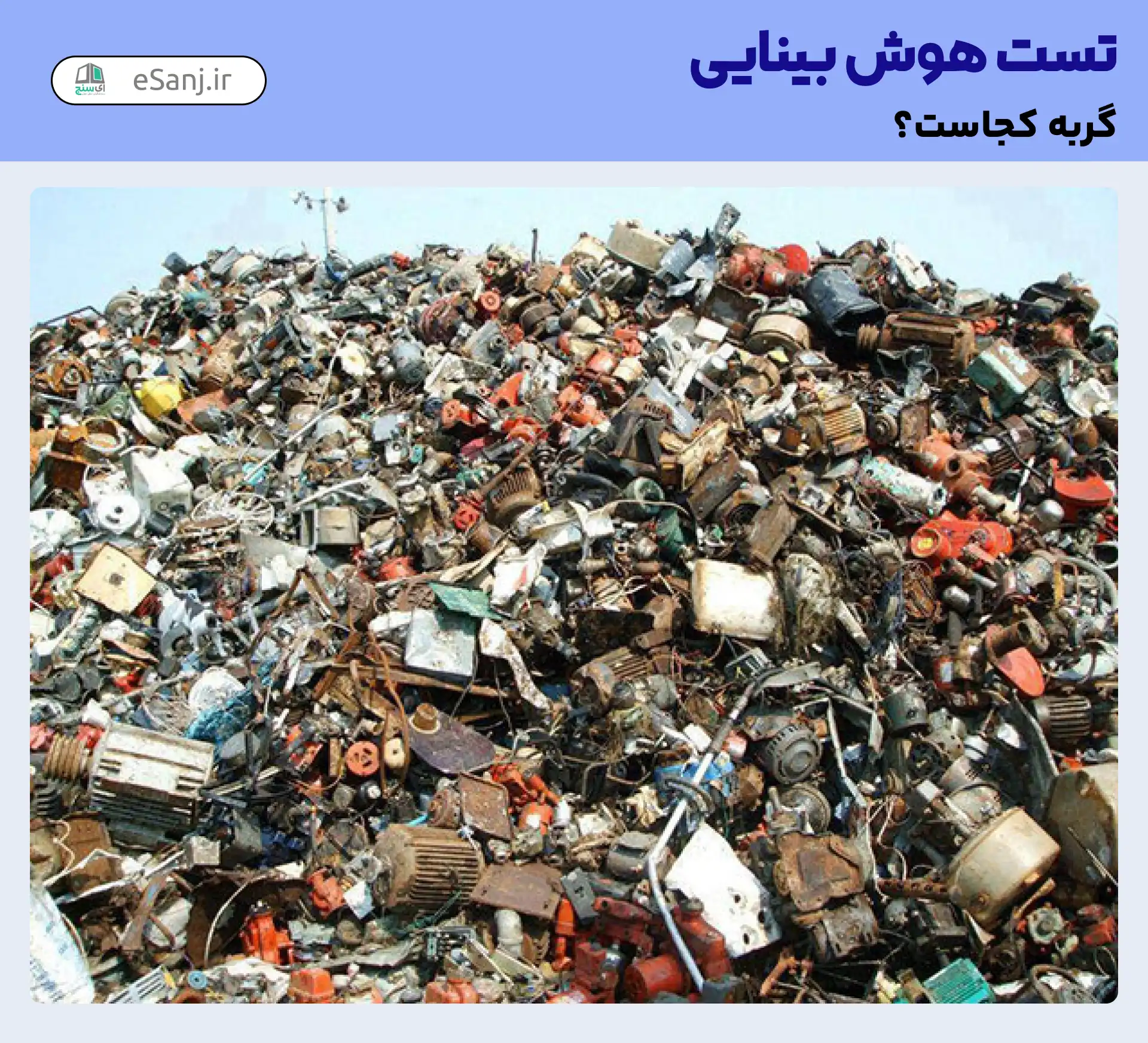 تست هوش بینایی: گربه را میان آشغال ها پیدا کنید.