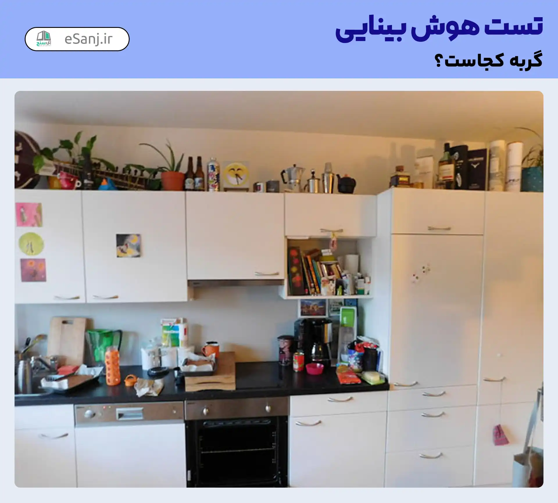تست هوش بینایی: گربه در کجای آشپزخانه پنهان شده است؟