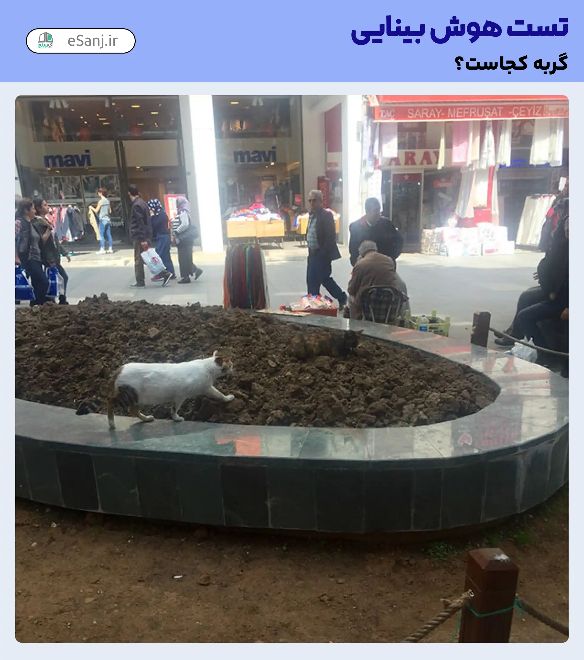 تست هوش بینایی: گربه ها را در باغچه پیدا کنید.