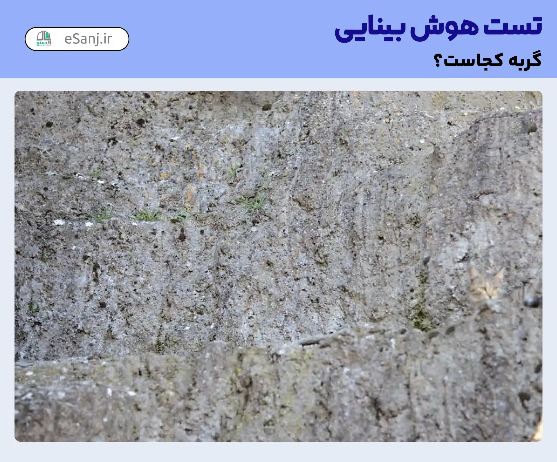 تست هوش بینایی: گربه را در میان کوه سنگی پیدا کنید.