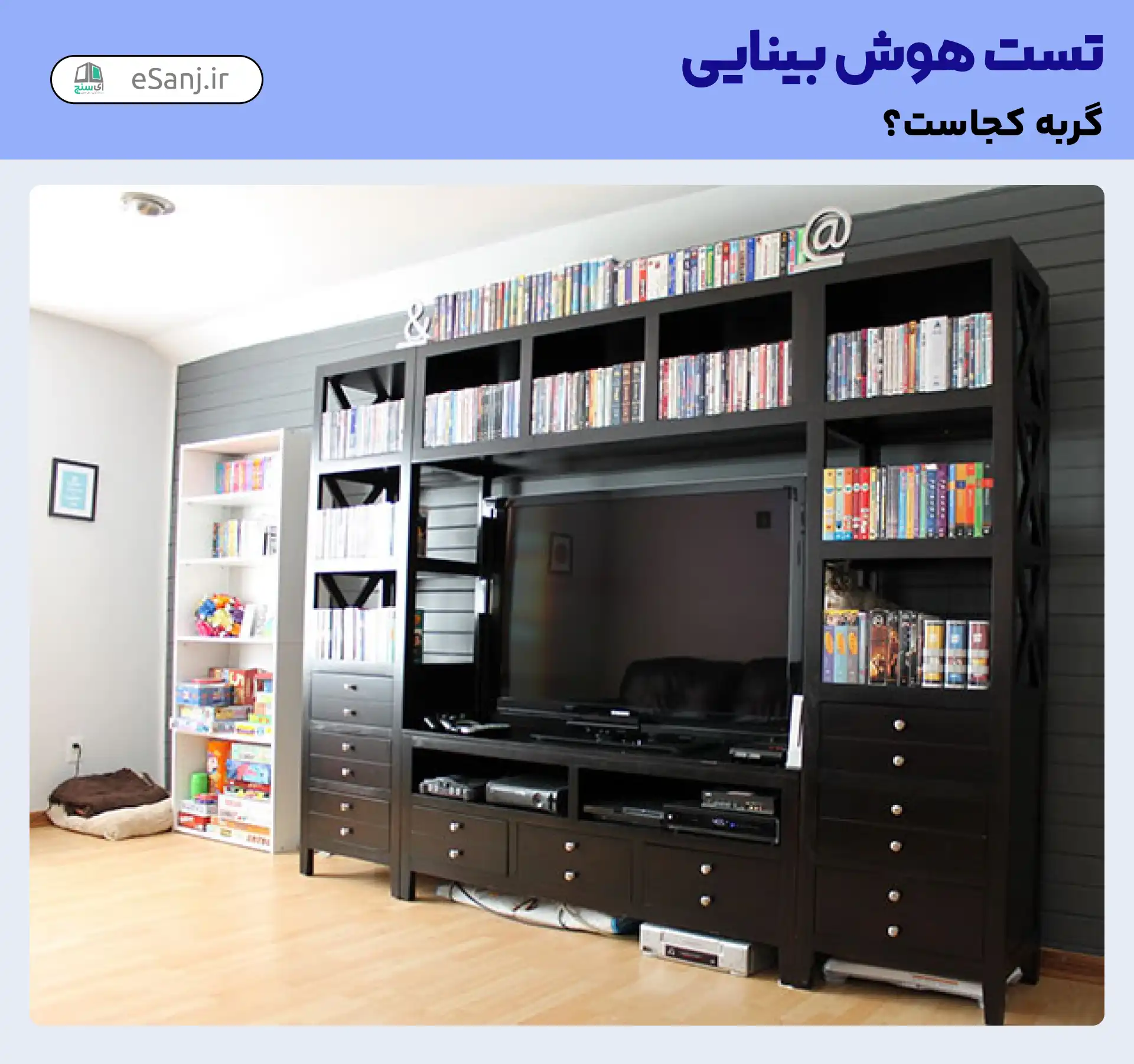 تست هوش بینایی: گربه را در قفسه کتاب پیدا کنید.