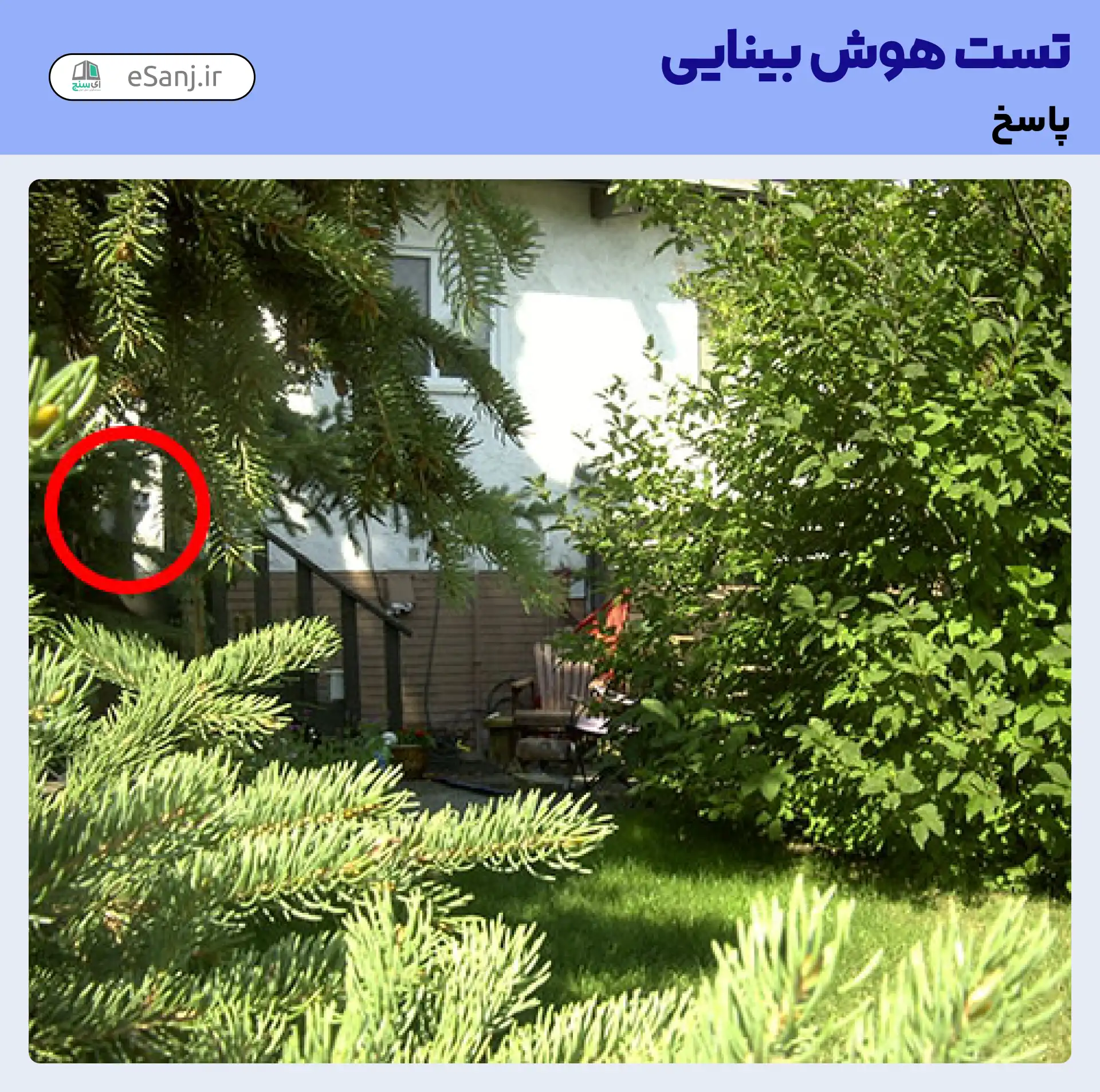 جواب تست هوش بینایی: گربه را در حیاط خانه پیدا کنید.