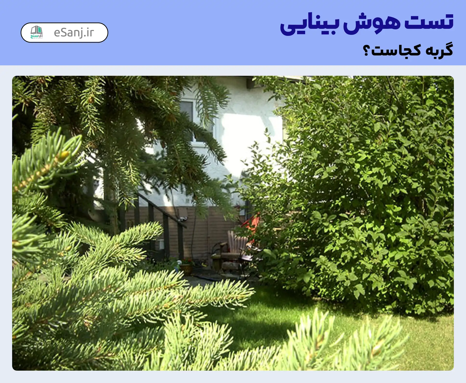 تست هوش بینایی: گربه را در حیاط خانه پیدا کنید.