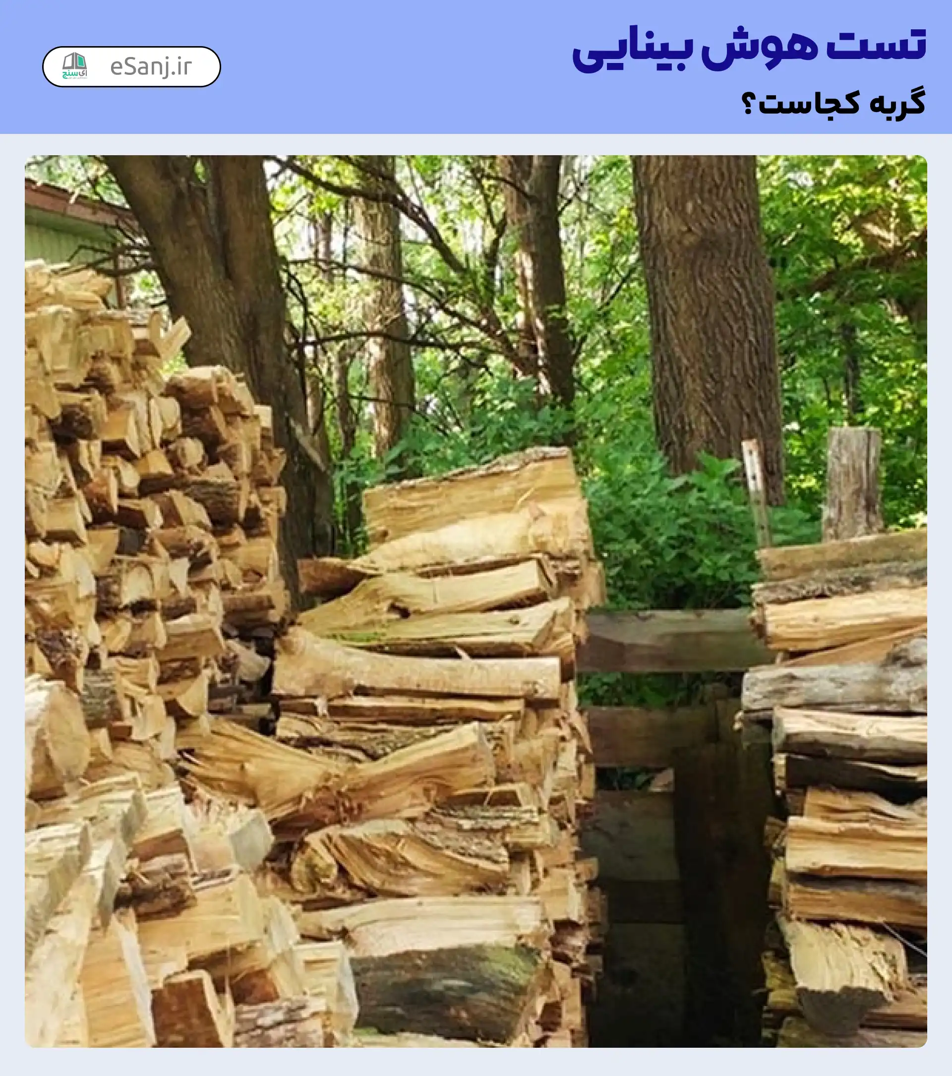 تست هوش بینایی: گربه را در کنار الوار پیدا کنید.