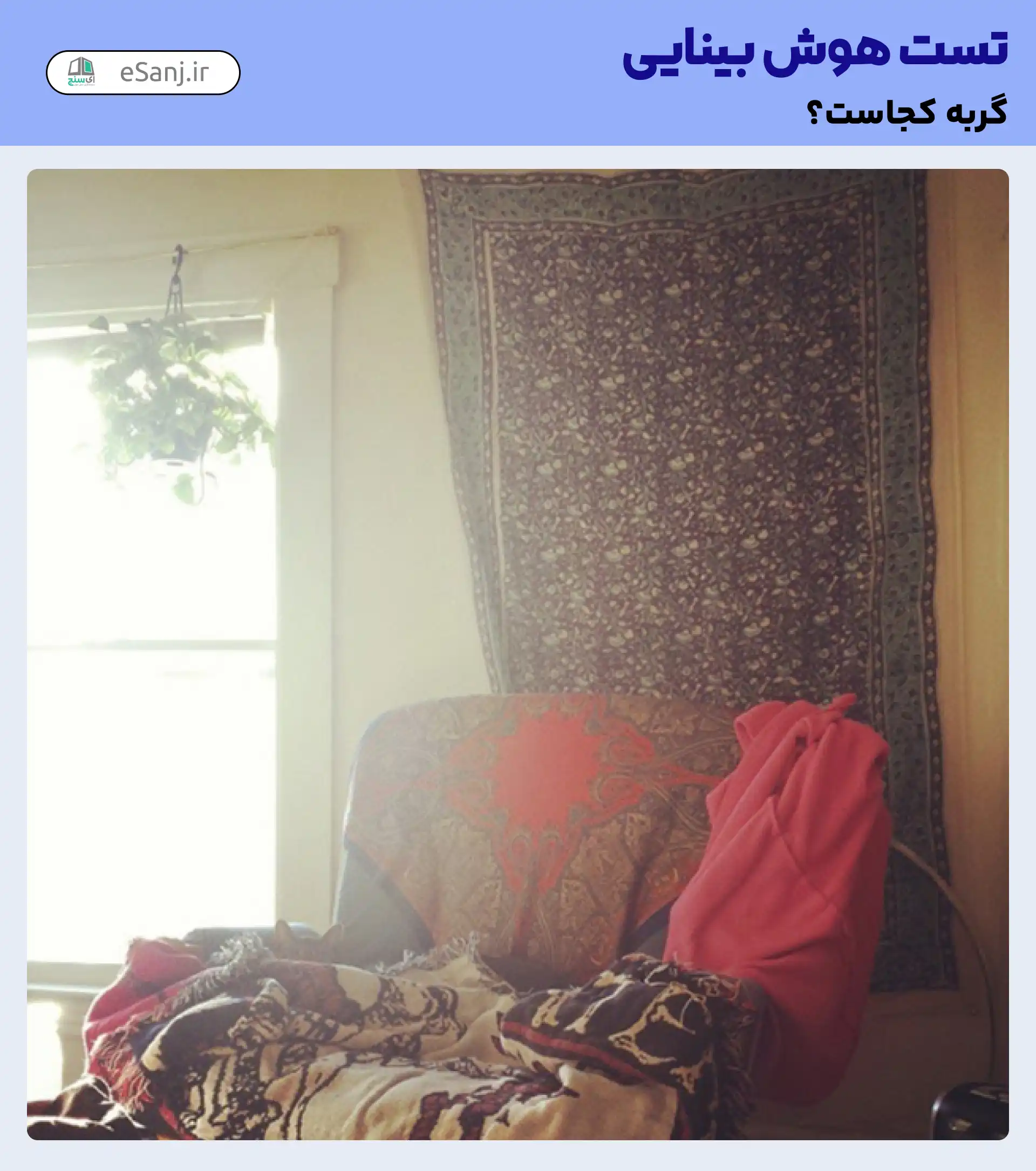تست هوش بینایی: گربه را در کنار پرده پیدا کنید.