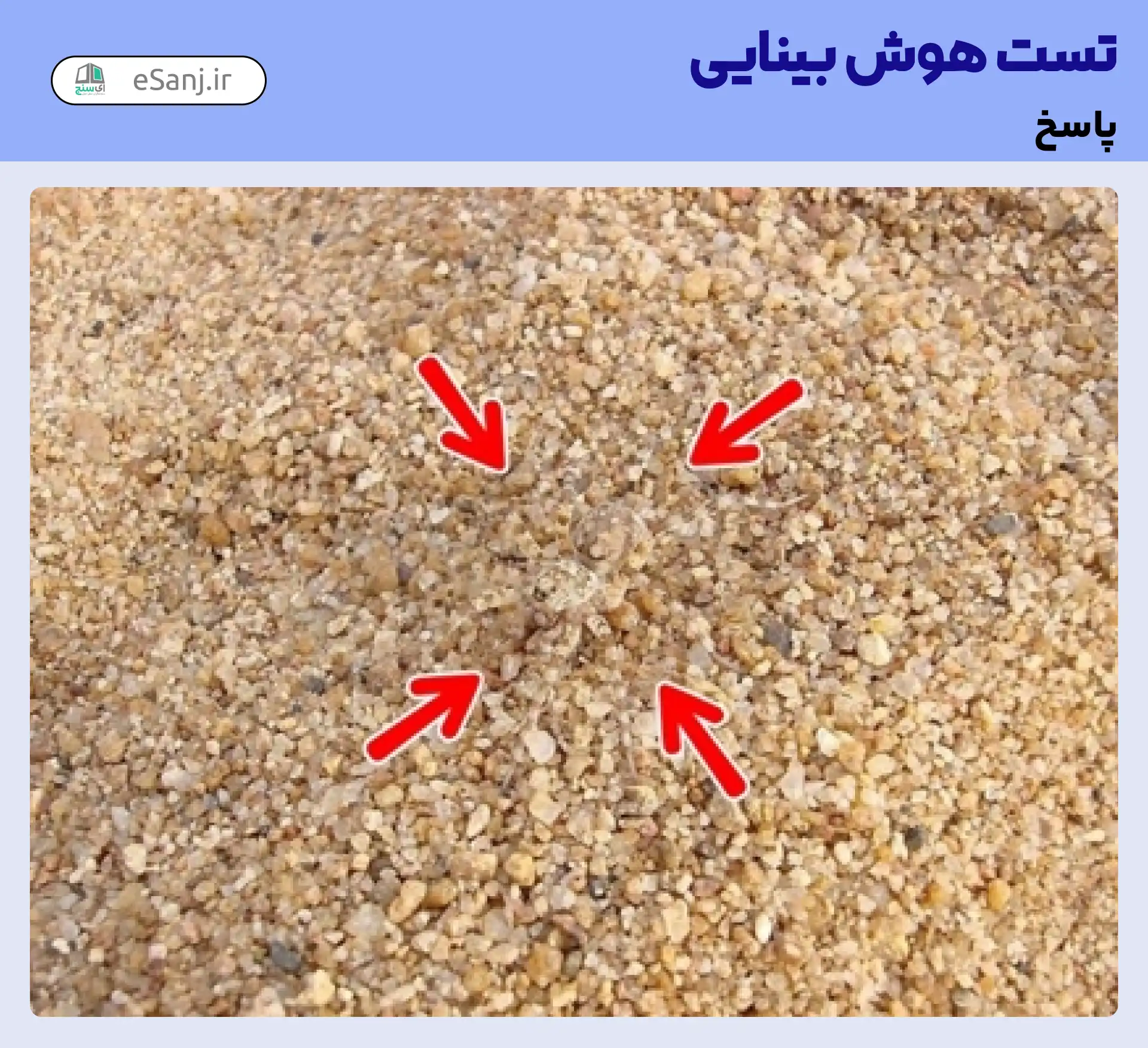 جواب تست هوش بینایی: مار را در میان سنگ ها پیدا کنید.