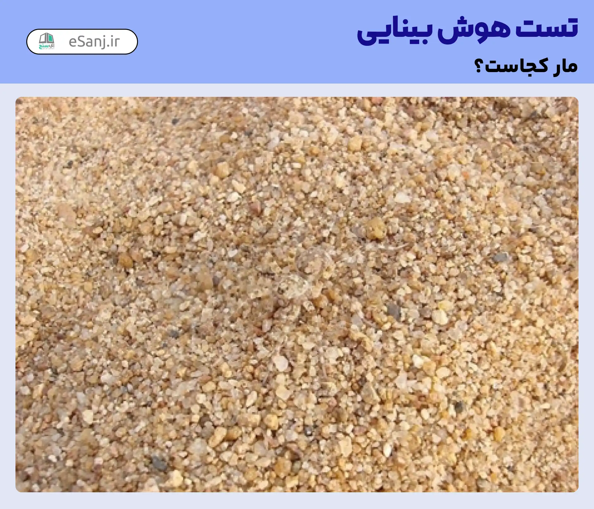 تست هوش بینایی: مار را در میان سنگ ها پیدا کنید.