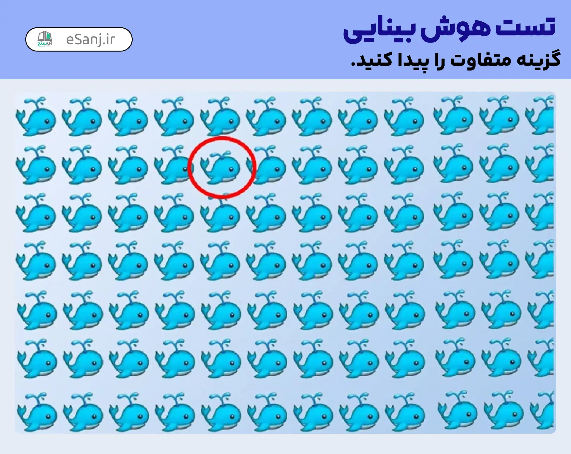 پاسخ تست هوش بینایی: نهنگ متفاوت را پیدا کنید.