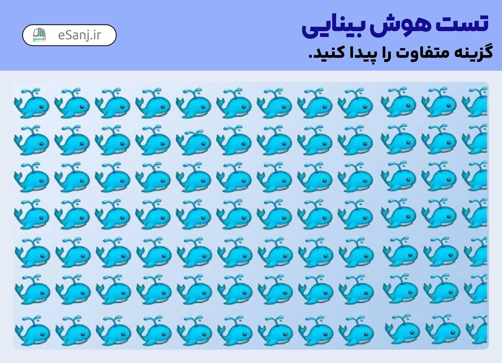 تست هوش بینایی: نهنگ متفاوت را پیدا کنید.