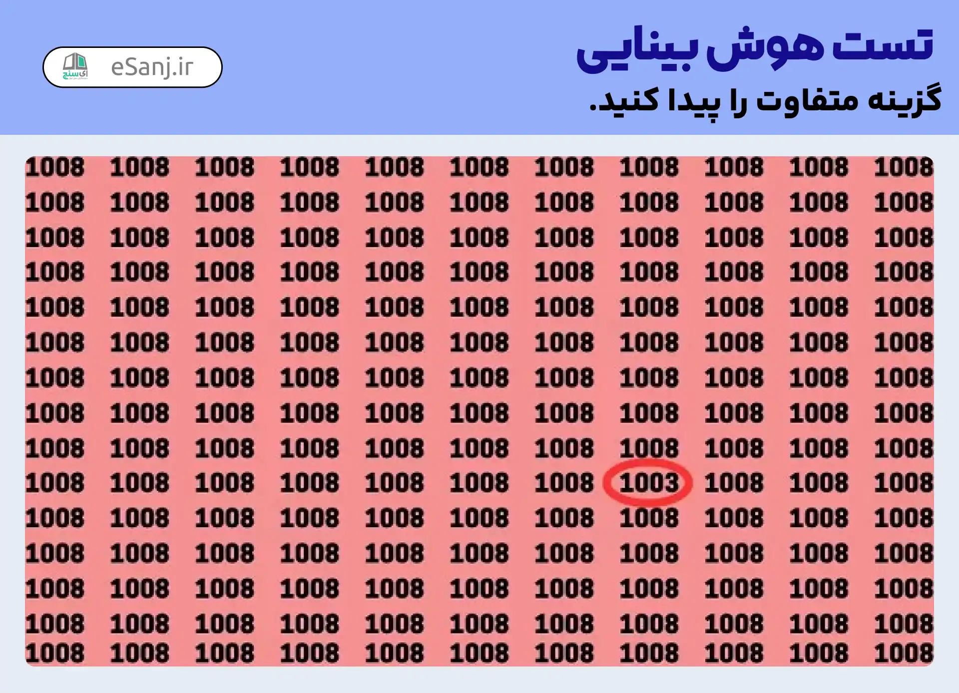 پاسخ تست هوش بینایی: عدد 1003 را پیدا کنید.