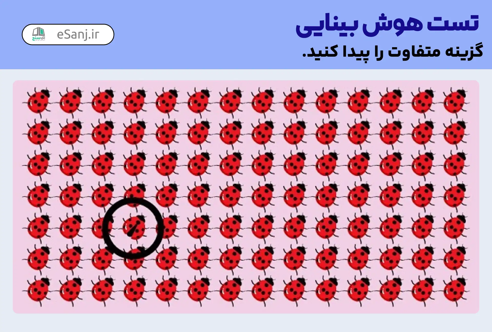 پاسخ تست هوش بینایی: کفشدوزک متفاوت را پیدا کنید.