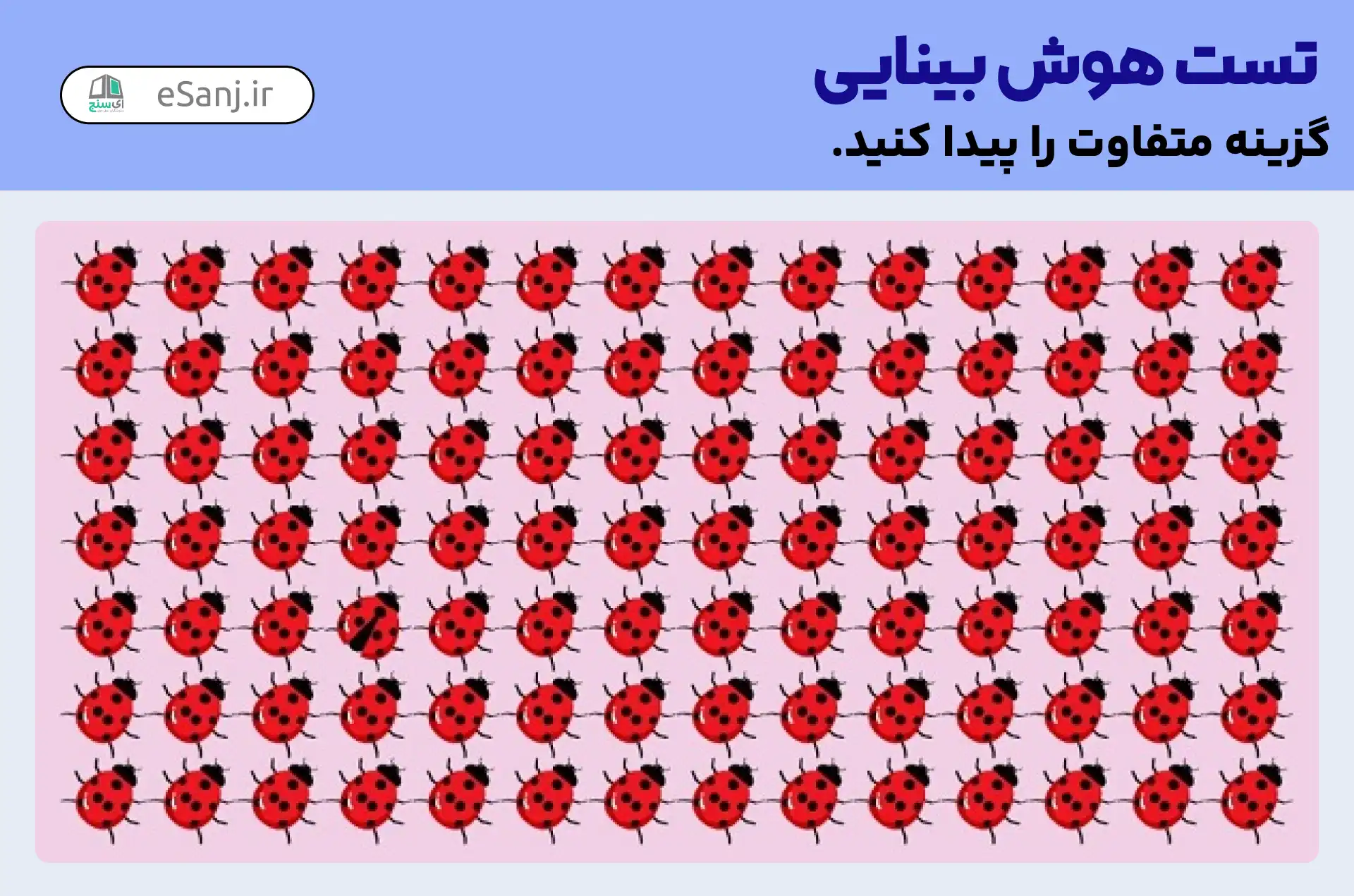 تست هوش بینایی: کفشدوزک متفاوت را پیدا کنید.