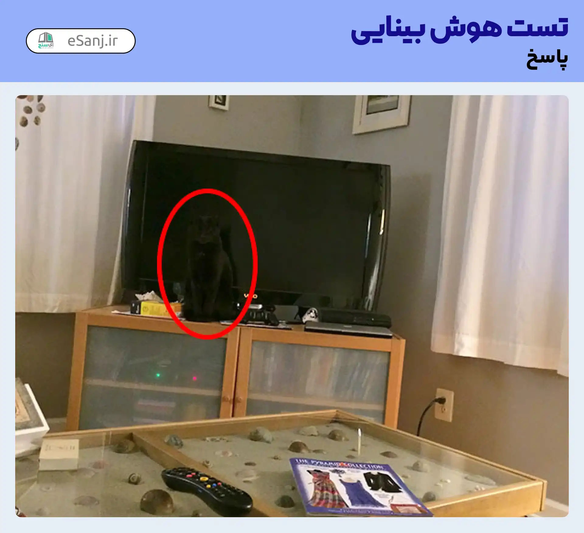 جواب تست هوش بینایی: گربه سیاه را در کنار تلوزیون پیدا کنید.