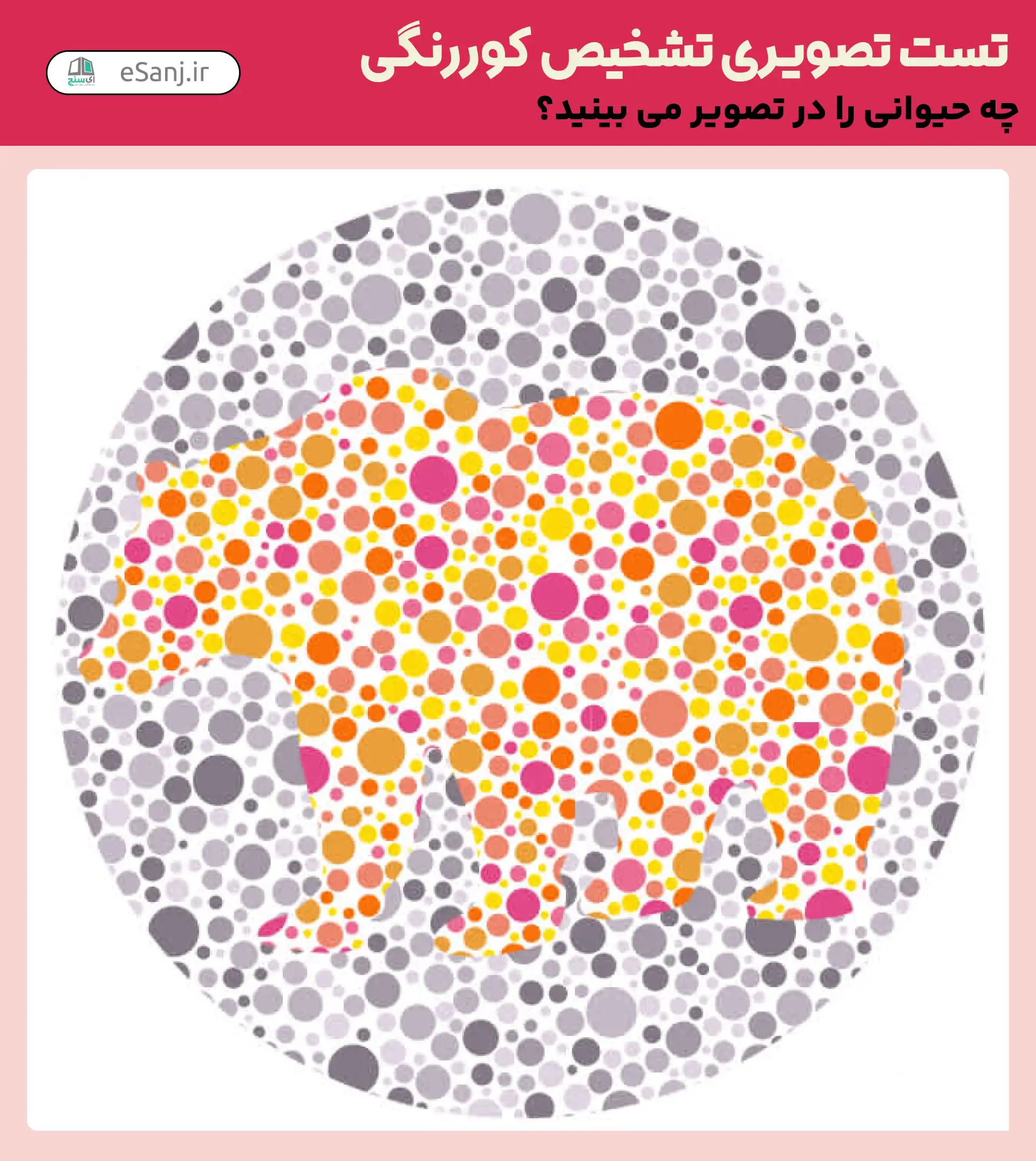 تست تصویری تشخیص کور رنگی شماره 10