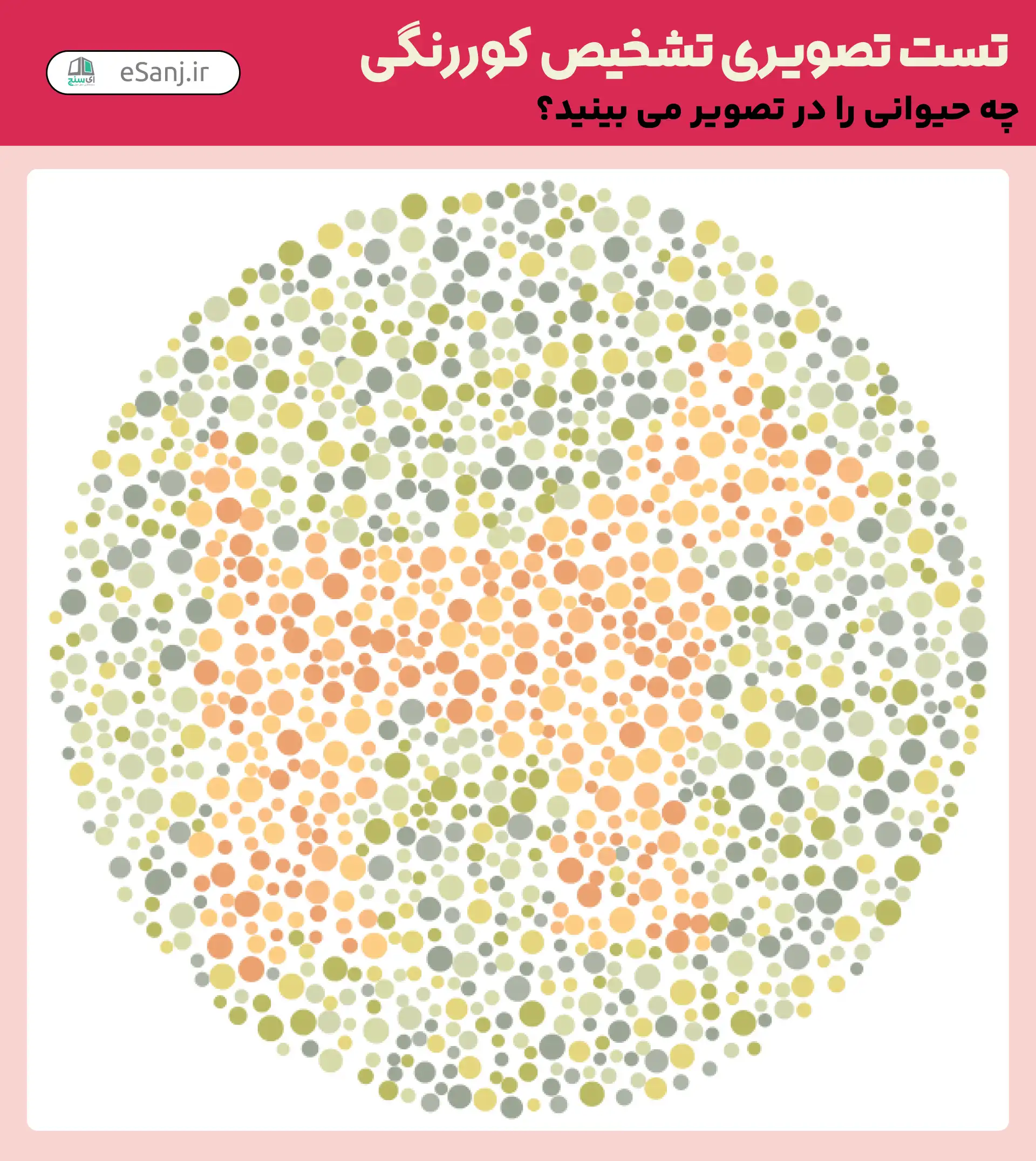 تست تصویری تشخیص کور رنگی شماره 14