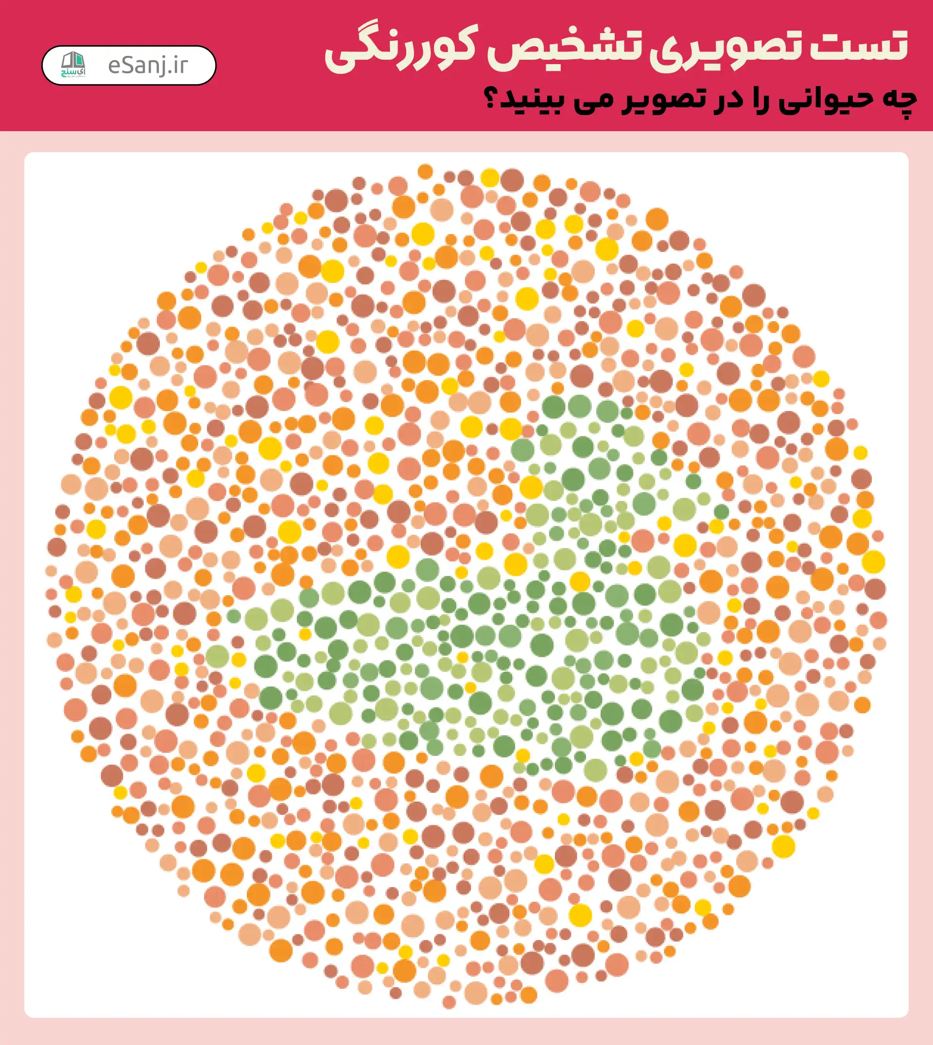 تست تصویری تشخیص کور رنگی شماره 13