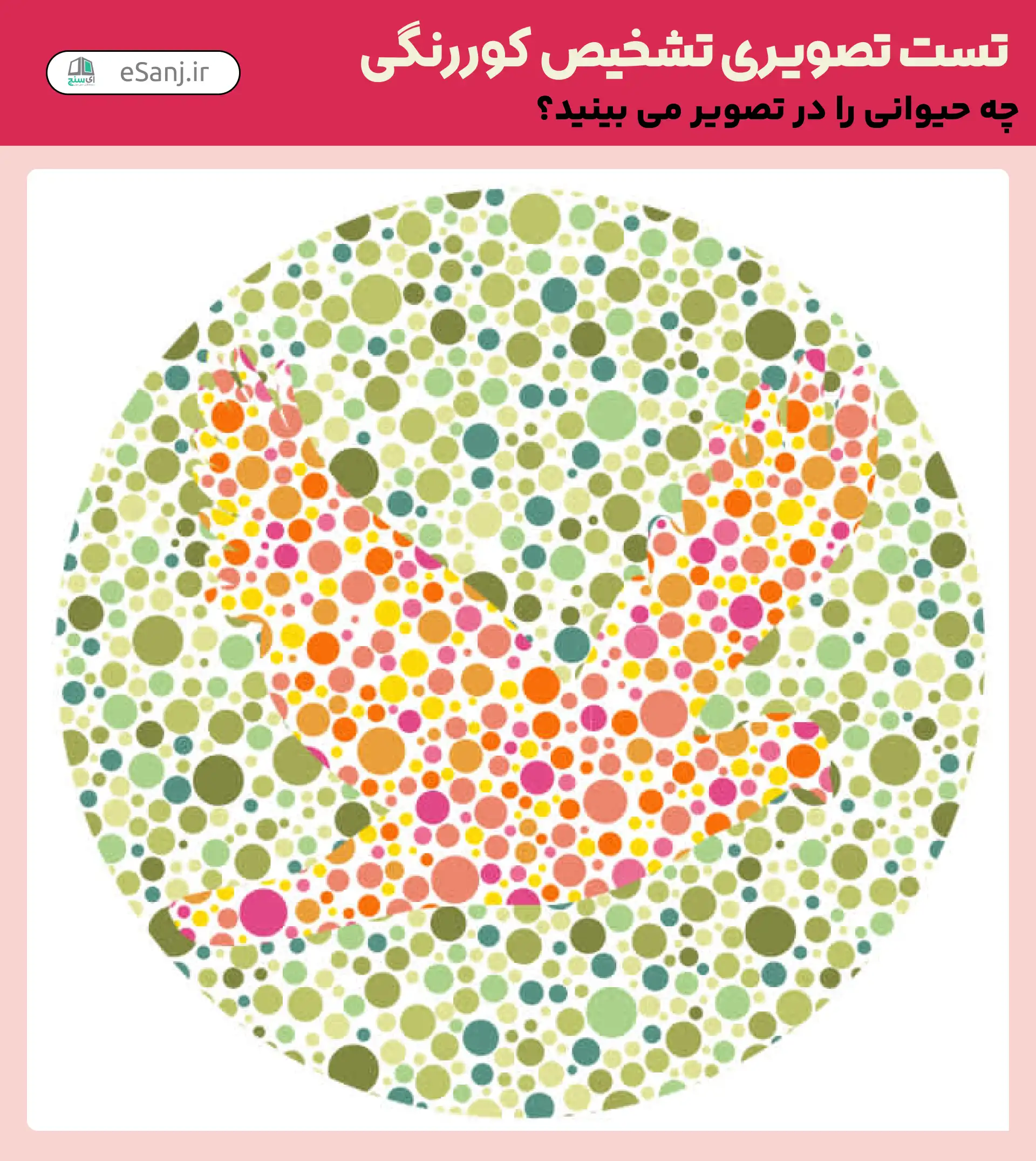 تست تصویری تشخیص کور رنگی شماره 5