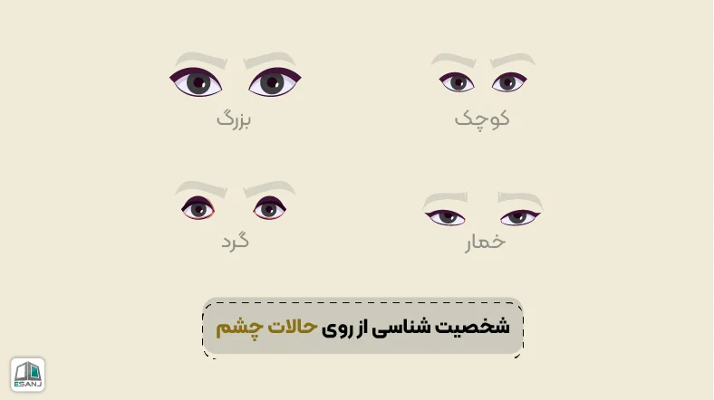 شخصیت شناسی از روی حالات چشم