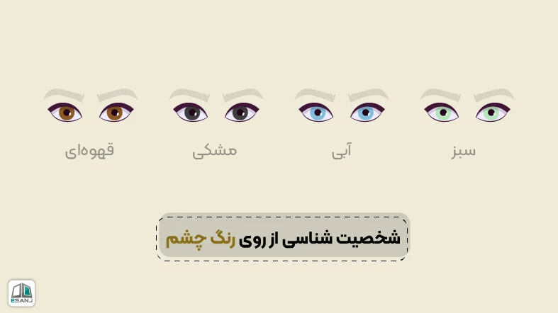 شخصیت شناسی از روی رنگ چشم