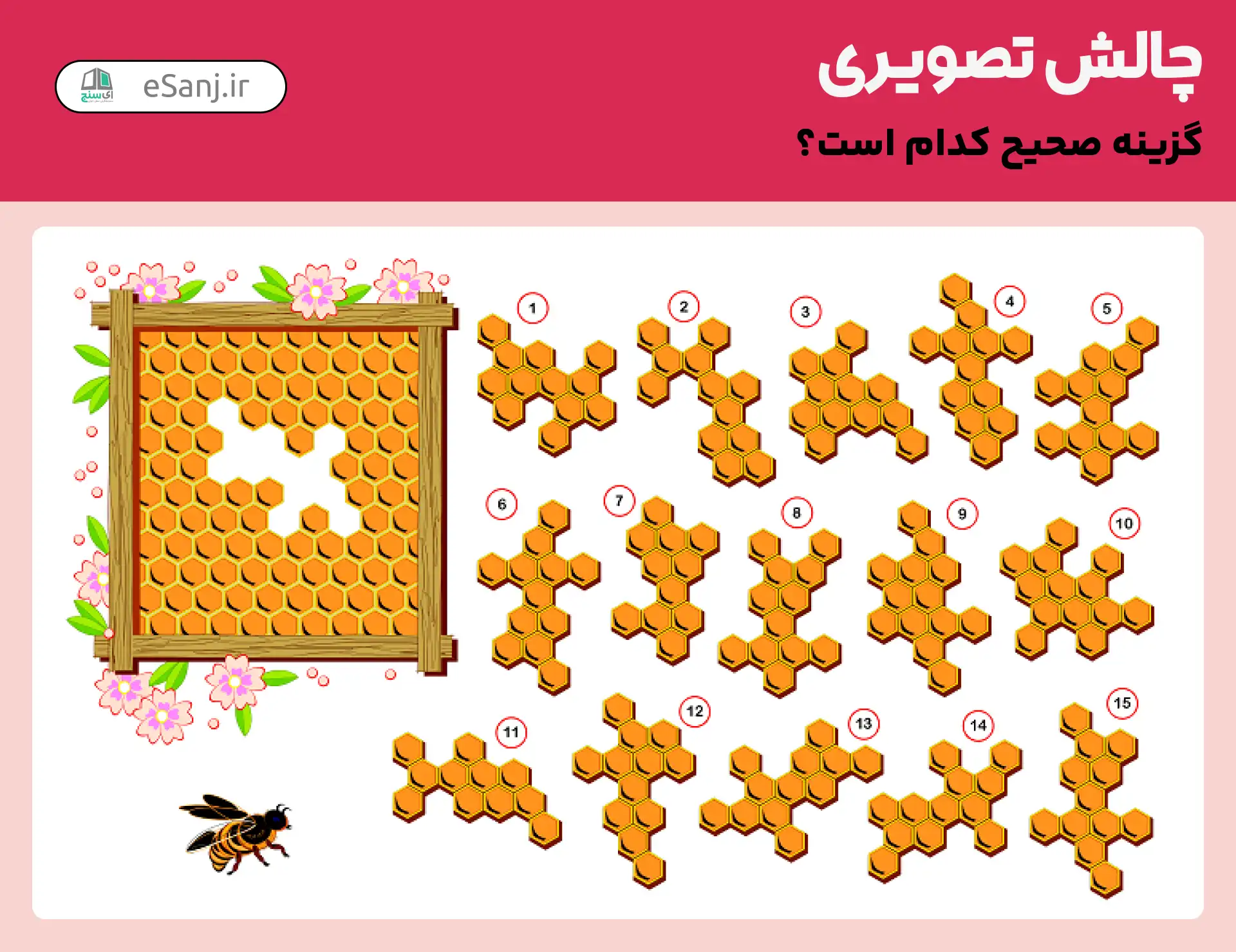 چالش تصویری:کدام گزینه کندو عسل را تکمیل می کند؟