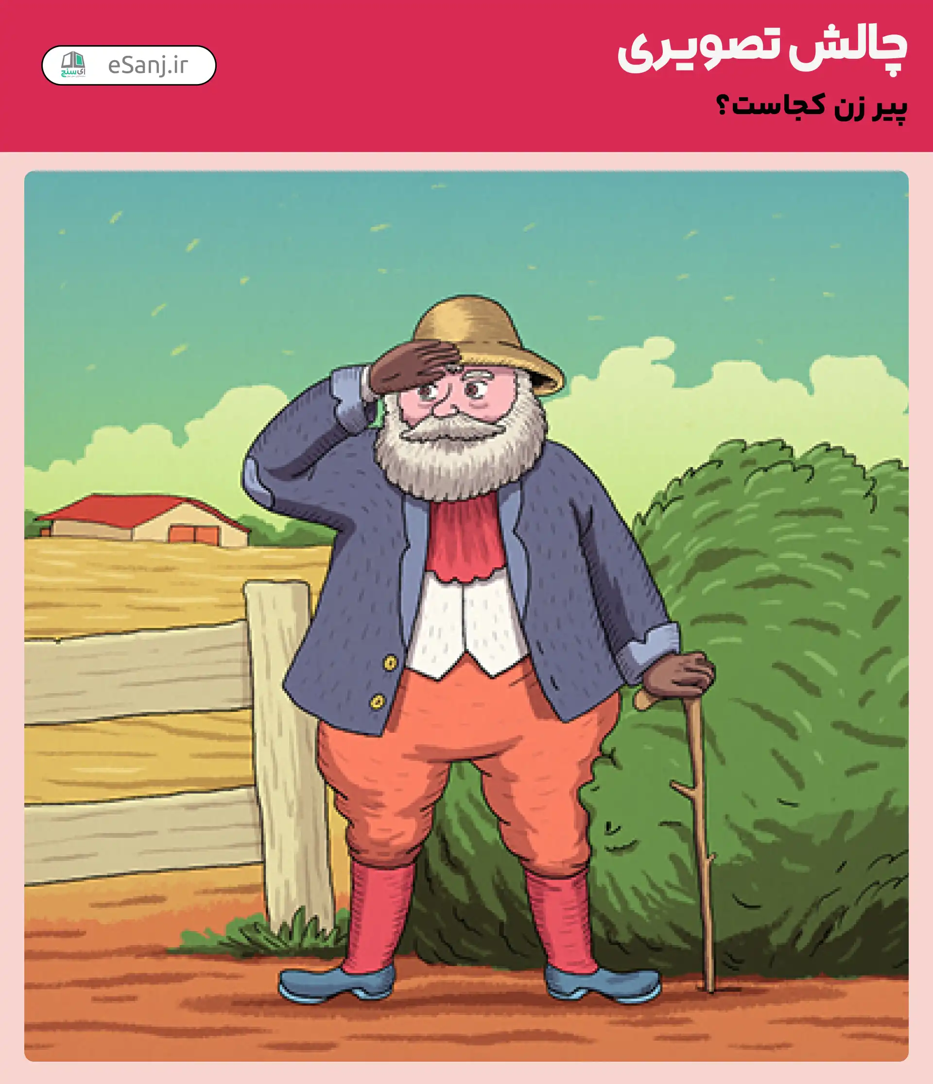 چالش تصویری: پیرزن کجای تصویر پنهان شده است؟