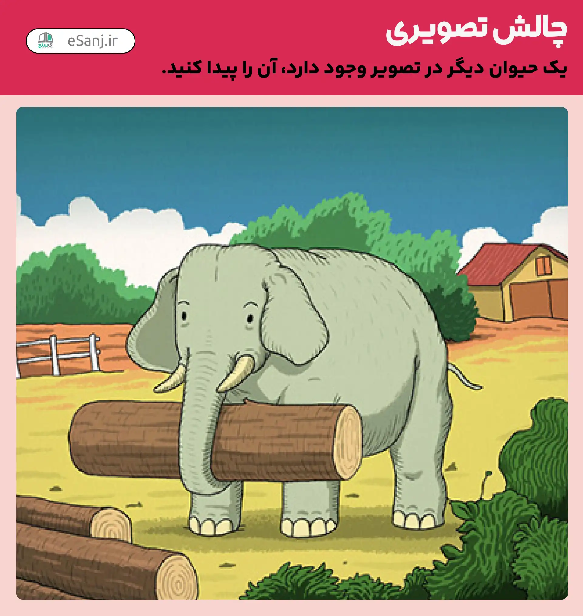 چالش تصویری: حیوان پنهان شده در تصویر کجاست؟