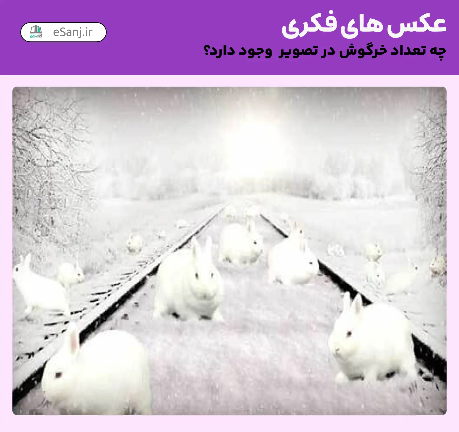 عکس های فکری: چند خرگوش در تصویر دیده می شود؟