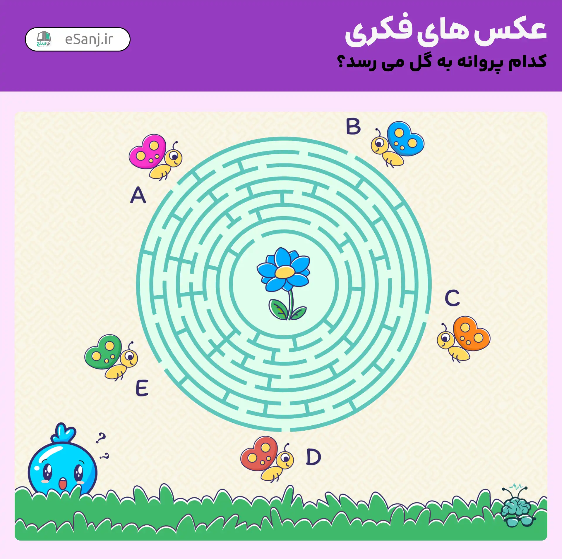 عکس های فکری: کدام پروانه به گل می رسد؟