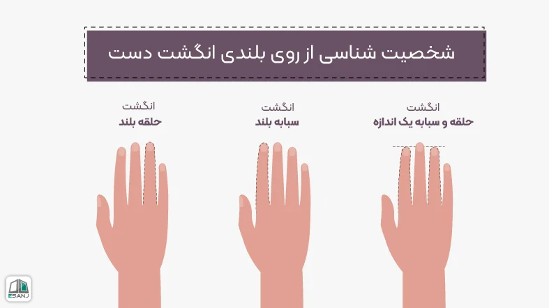 شناخت شخصیت از روی بلندی انگشت دست