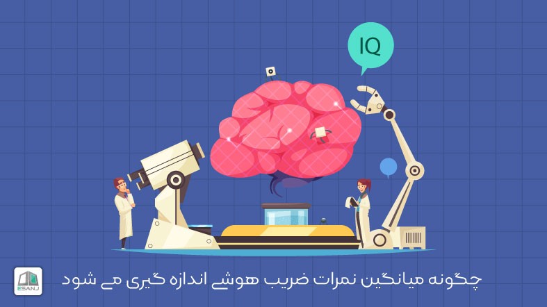 چگونه میانگین نمرات ضریب هوشی اندازه گیری می شود؟