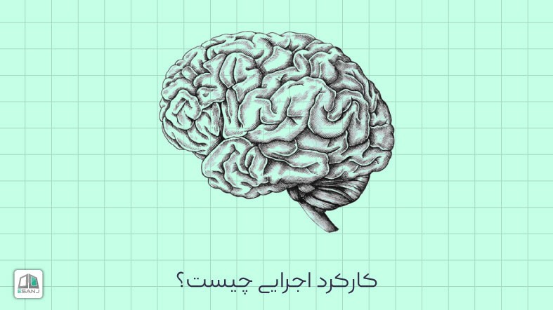 کارکرد اجرایی چیست؟