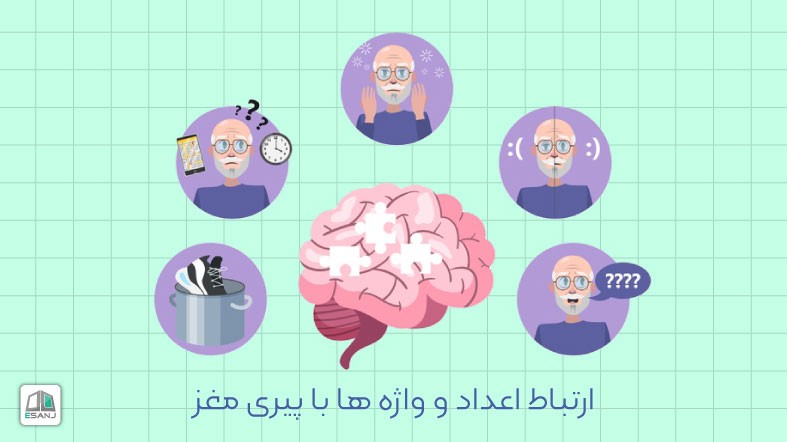 ارتباط اعداد و واژه ها با پیری مغز
