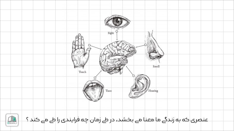 عنصری که به زندگی ما معنا می بخشد، در طی زمان چه فرایندی را طی می کند ؟