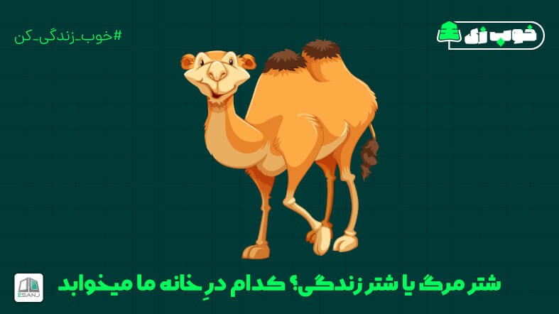 شتر مرگ یا شتر زندگی؟ کدام در خانه ما میخوابد