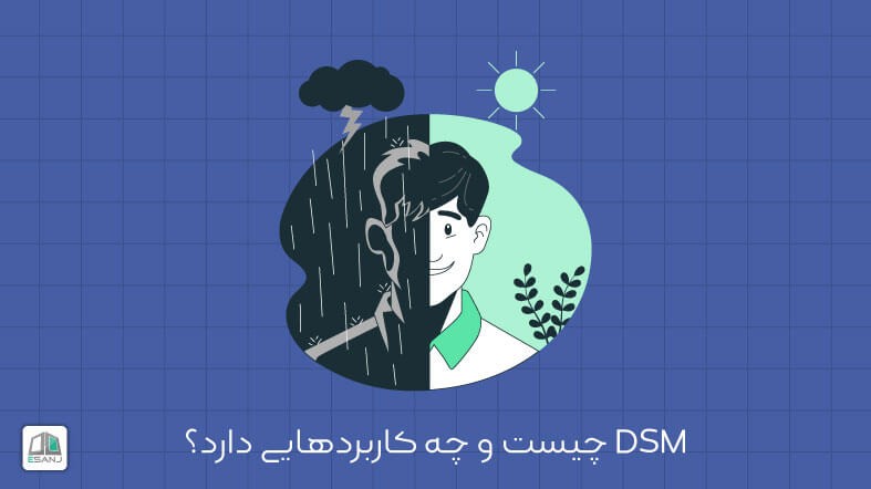 DSM چیست و چه کاربردهایی دارد؟